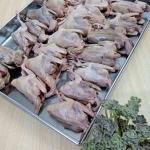 Meat